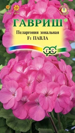 Пеларгония Павла