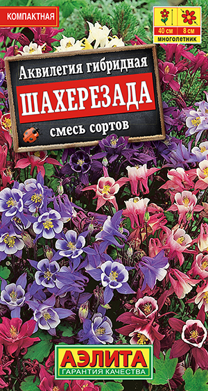 Аквилегия Шахерезада, смесь сортов_ЦП