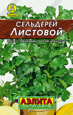 Сельдерей листовой