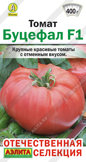 Томат Буцефал