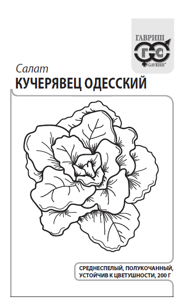 Салат Кучерявец Одесский