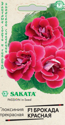 Брокада красная