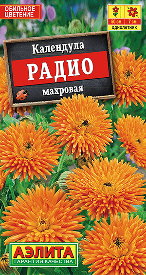 Календула Радио махровая_ЦП