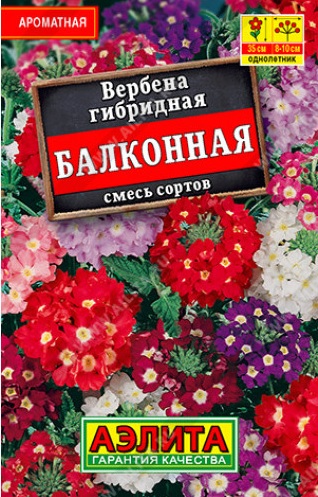 Вербена балконная смесь