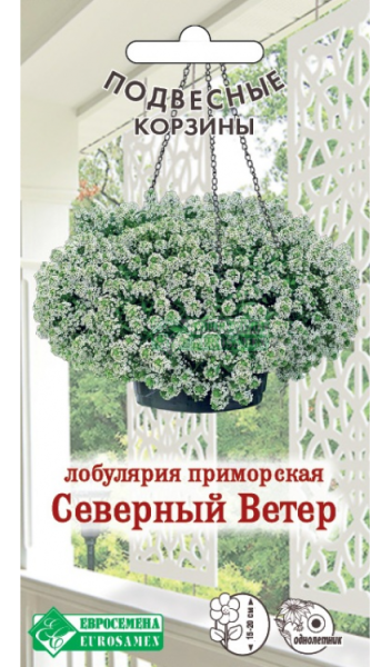 Лобулярия Северный Ветер