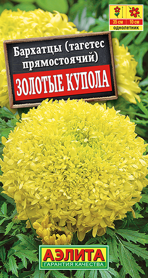 Бархатцы Золотые купола прямостоячие_ЦП