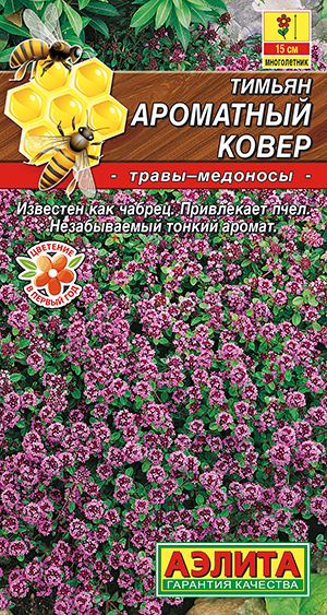 Тимьян Ароматный ковер_ЦП