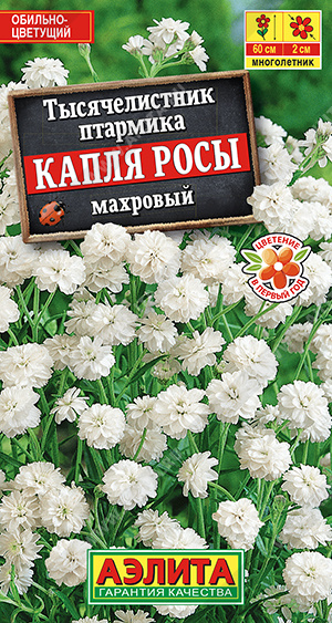 Тысячелистник Капля росы