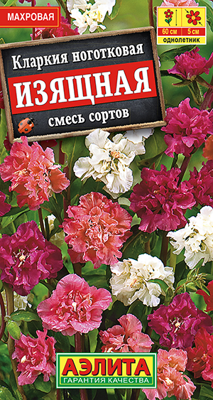 Кларкия изящная, смесь сортов_ЦП