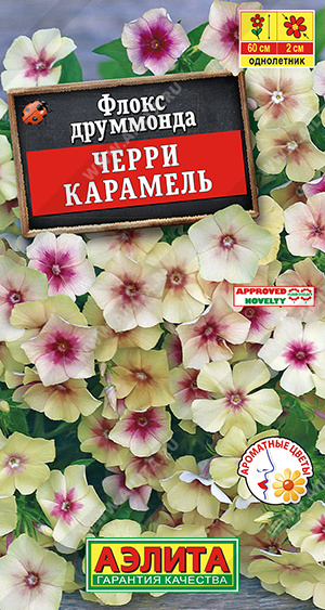 Флокс Черри карамель