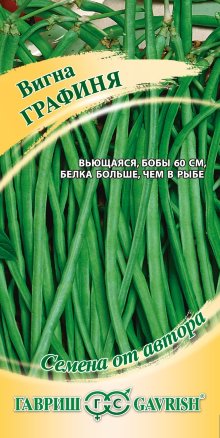 Вигна графиня