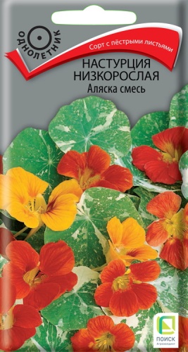 nastrucia_nizkorosl_alyaska_smes