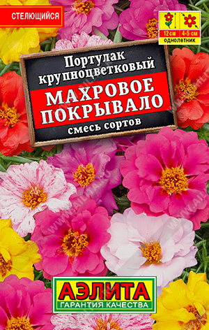 Портулак Махровое покрывало