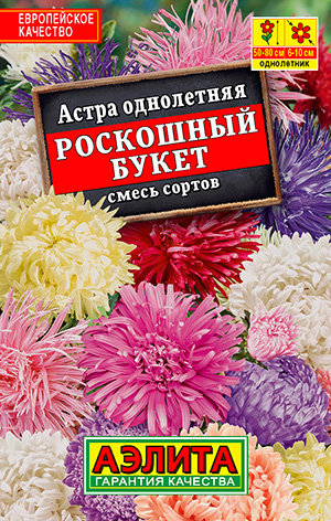 Астра Роскошный букет, смесь сортов_Лидер