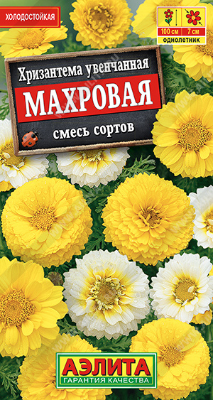 Хризантема увенчанная махровая