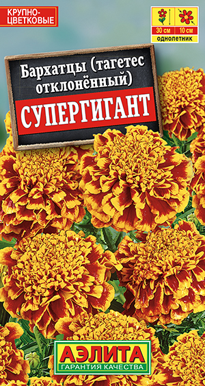 Бархатцы Супергигант отклоненные_ЦП