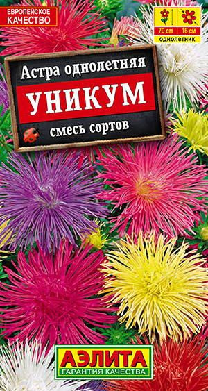 Астра Уникум, смесь сортов_ЦП
