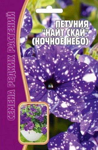 Петуния ночное небо
