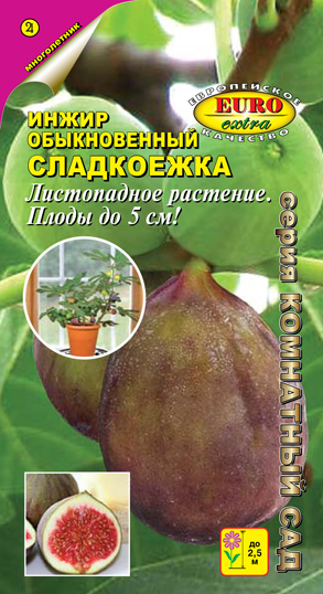 Инжир Сладкоежка обыкновенный_ЦП