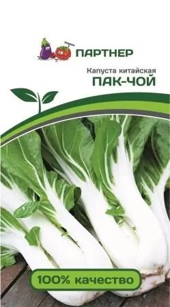 Капуста кит пак чой