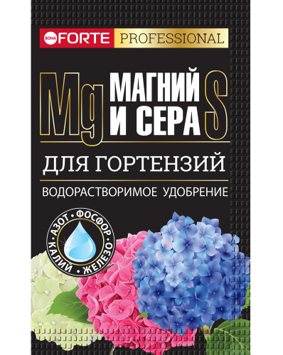 BF_vert_2022_hortenzii_MS_k__________________-min