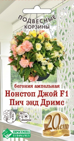 Бегония Нонстоп Джой Пич энд Дримс