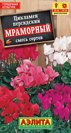 Цикламен персидский Мраморный, смесь сортов_ЦП