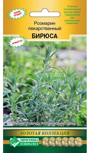 Розмарин Бирюса