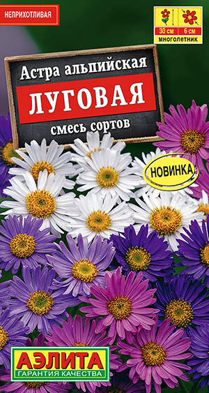 Астра альпийская Луговая, смесь сортов_ЦП