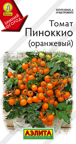 Томат Пиноккио оранжевый