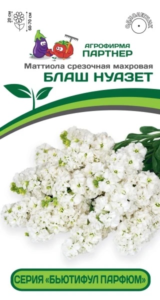 Маттиола БЛАШ НУАЗЕТ