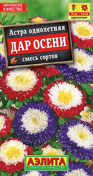Астра Дар осени, смесь сортов_ЦП