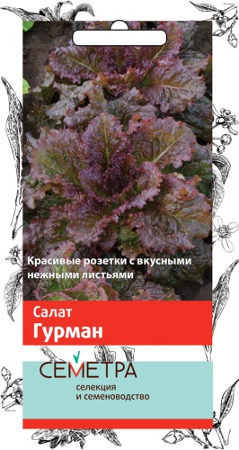 salat_gurman_sem
