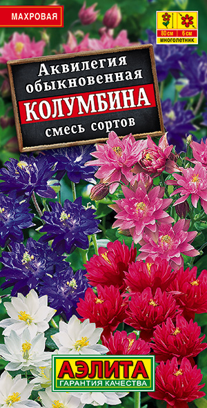 Аквилегия Колумбина, смесь сортов_ЦП