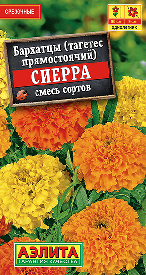 Бархатцы Сиерра прямостоячие, смесь сортов_ЦП
