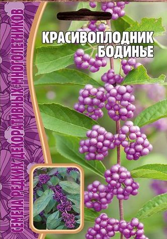 Красивоплодник