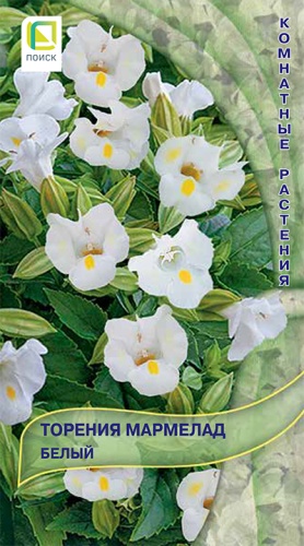 toreniya_marmelad_belyy