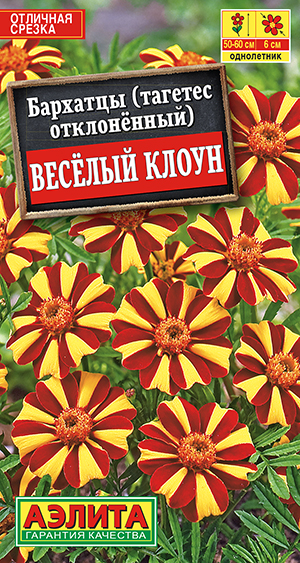 Бархатцы Веcелый клоун отклоненные_ЦП