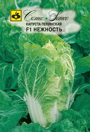 kapusta_pekinskaya_nezhnost (1)