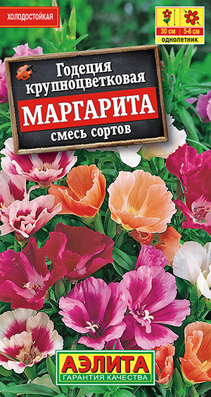 Годеция Маргарита, смесь сортов_ЦП