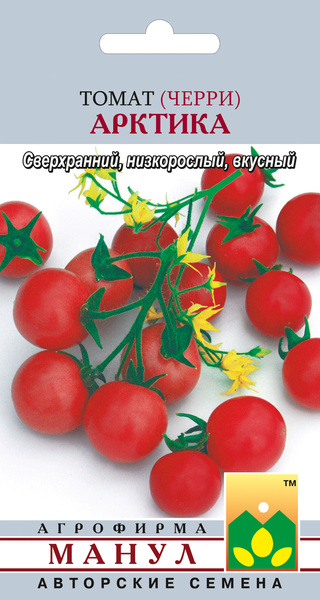 Арктика