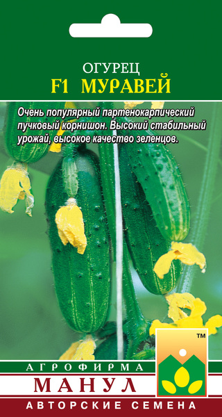 Муравей