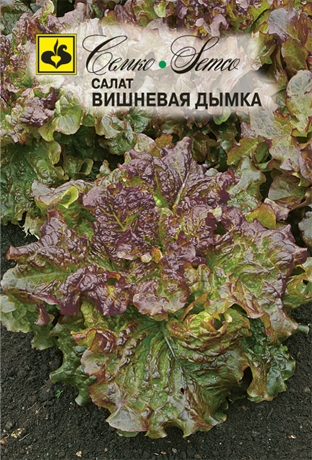 salat_kochannyj_vishnevaya_dymka