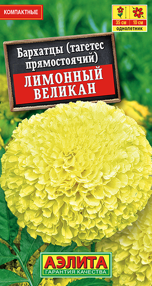 Бархатцы Лимонный великан прямостоячие_ЦП