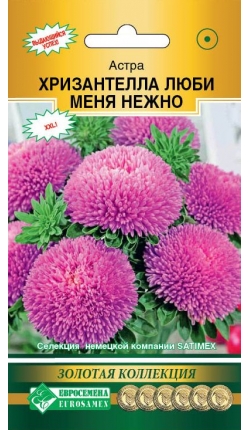 Хризантелла люби меня нежно