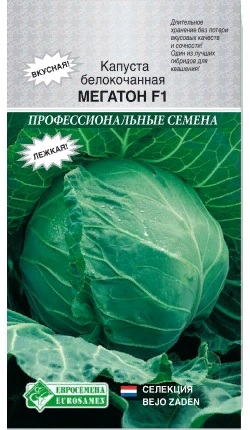 Мегатон