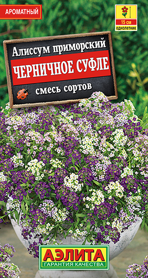 Алиссум Черничное суфле, смесь сортов_ЦП
