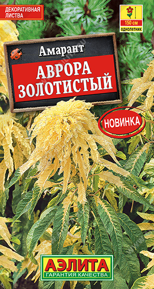 Амарант Аврора