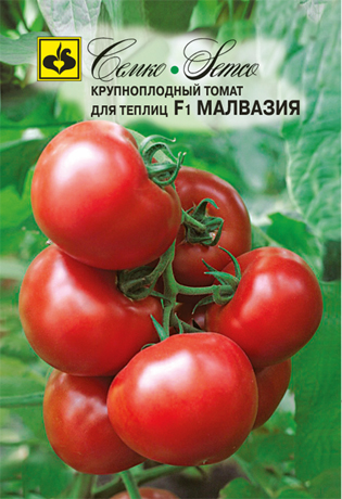 tomat_malvaziya