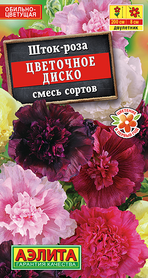 Шток-роза Цветочное диско, смесь сортов_ЦП
